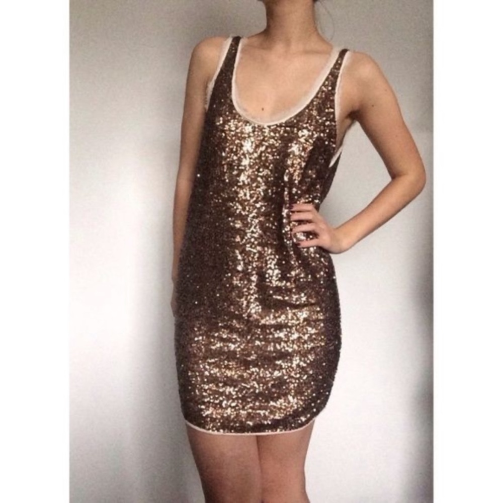 Wilfred Dresses | Wilfred Barbizon Sequin Dress |